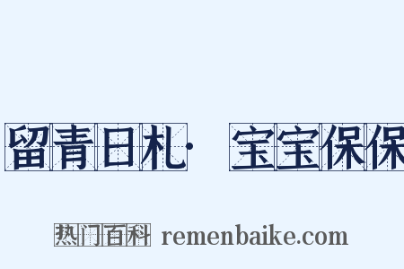 留青日札·宝宝保保是什么意思的图片